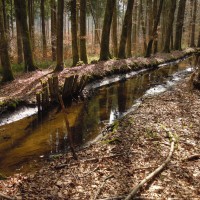 Stiller Bach Weingarten